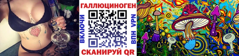 Псилоцибиновые грибы Psilocybe  Шебекино 